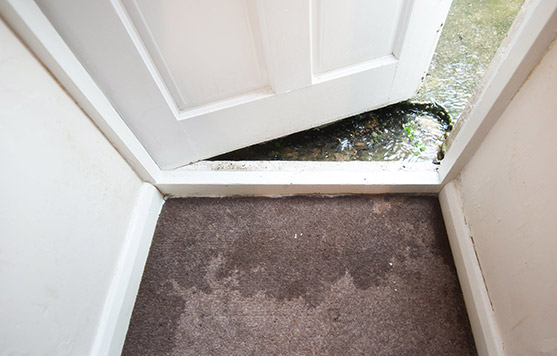 Flooding home with water in carpet and on floors