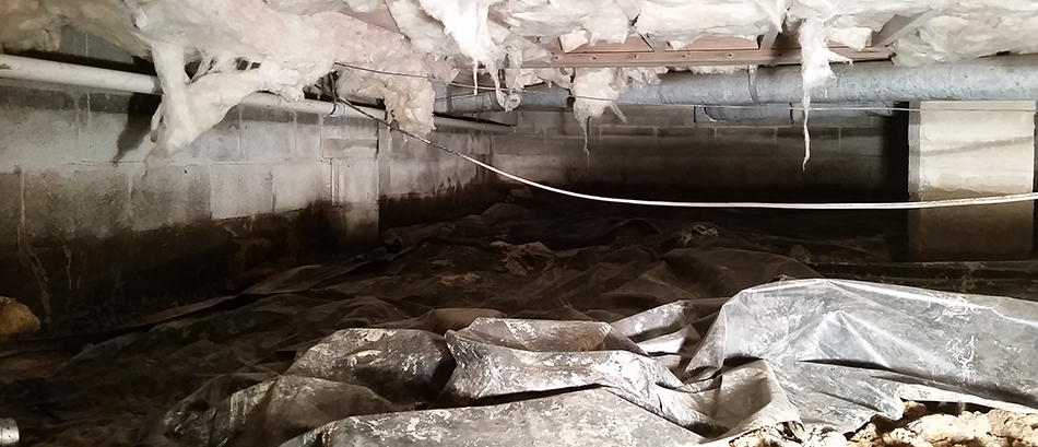 Messy, humid, and compromised crawl space