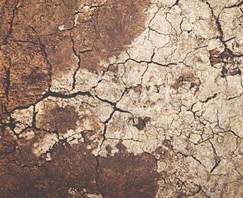 Dried & cracking soil surrounded by wet patches