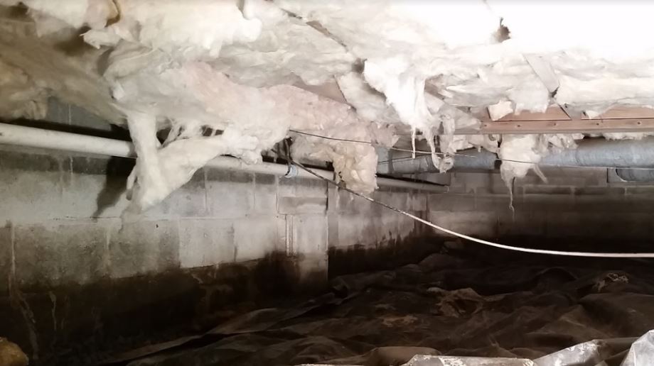Crawl Space before waterproofing