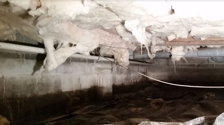 Crawl Space before waterproofing